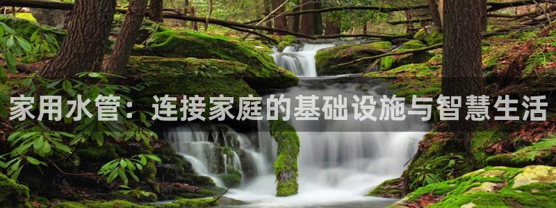 球盟会综合体育平台