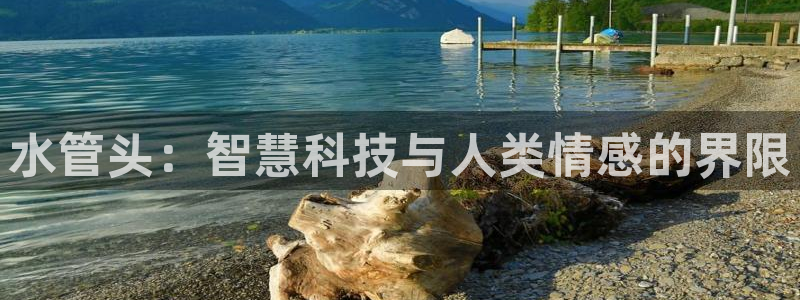 球盟会qmh官网