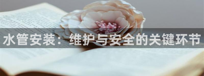 球盟会qmh