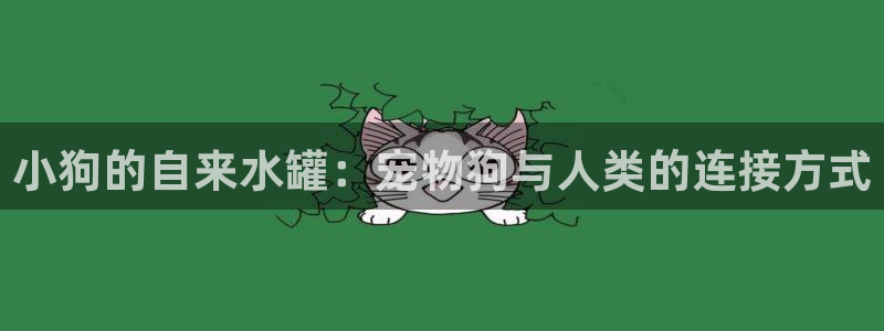 球盟会论坛