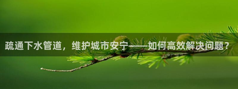 球盟会官方网址入口