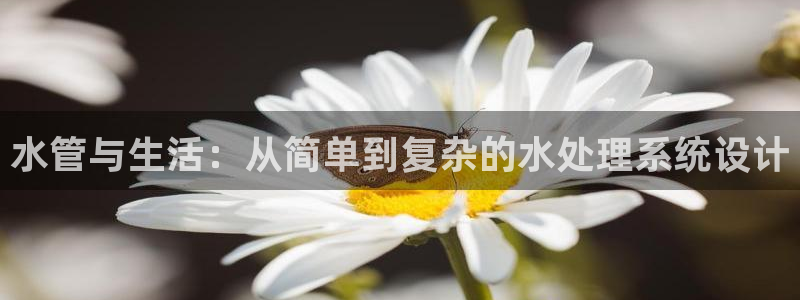 球盟会体育平台