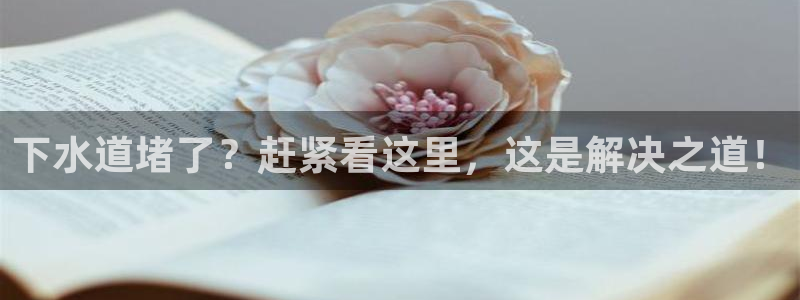 球盟会贴吧