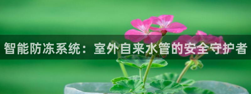 球盟会qmh官网