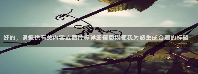 球盟会入口