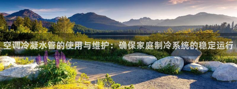 球盟会最新活动