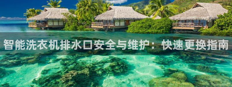 球盟会和中欧