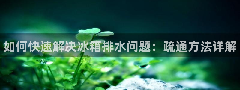 球盟会qmh电子网页版登录