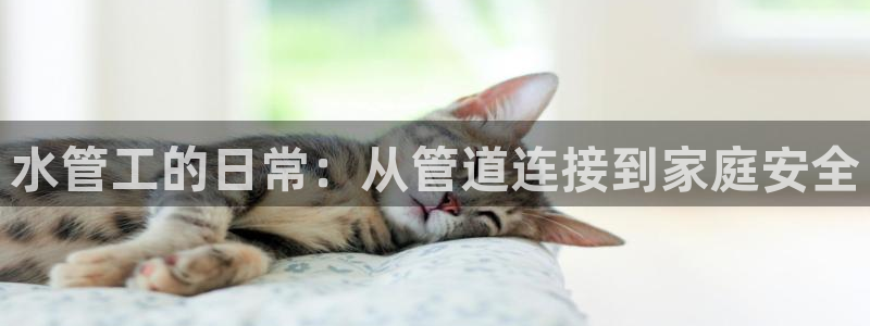 球盟会qm9