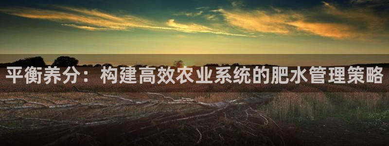 球盟会网址多少