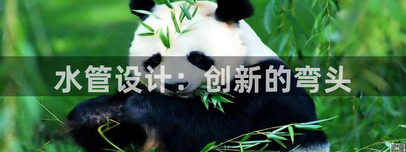 球盟会能退钱吗是真的吗