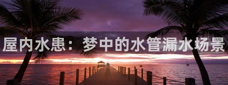 球盟会网址
