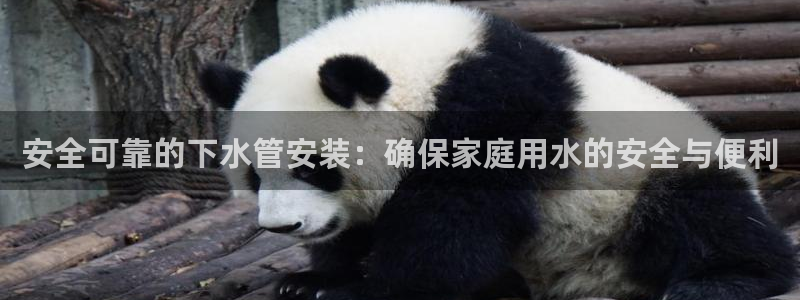球盟会最新地址备用