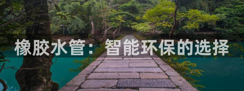 球盟会提款支付宝怎么样