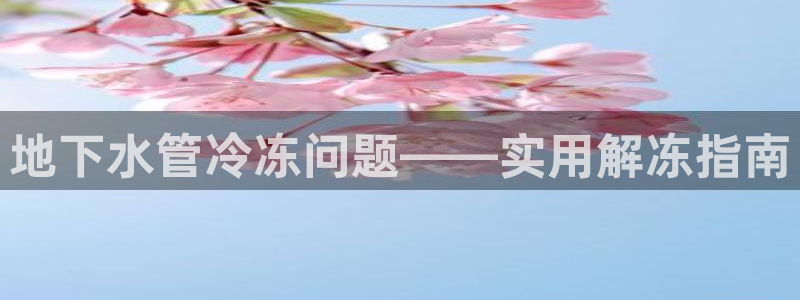 球盟会能提现吗是真的吗