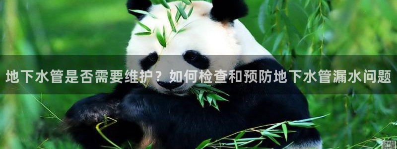 球盟会平台怎么样