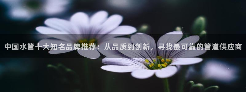 球盟会官方版下载地址