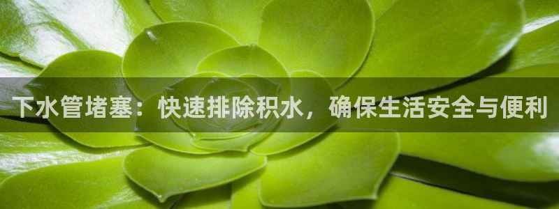 球盟会有没有黑单的球员