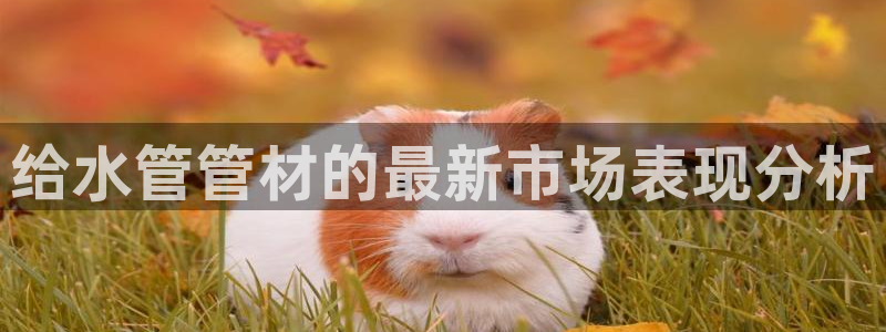 球盟会app最新地址在哪找