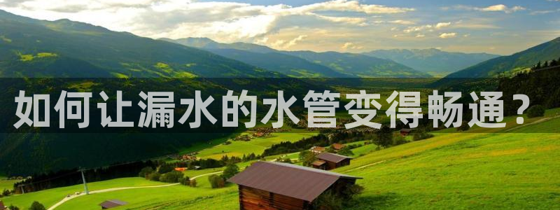 球盟会app最新地址在哪