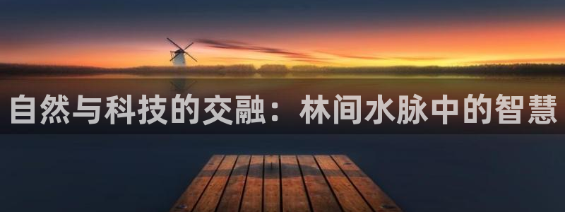 球盟会官方最新入口