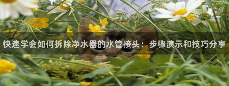 球盟会进不去球员吗