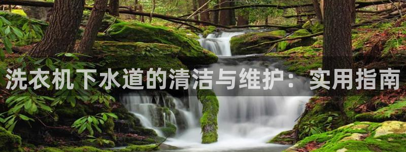 球盟会用的客服聊天是哪个软件