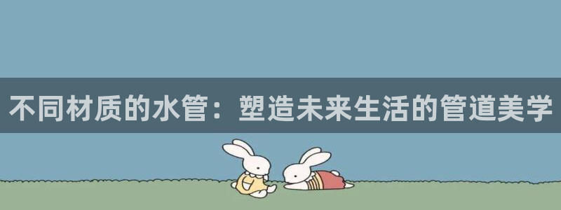 球盟会qm9