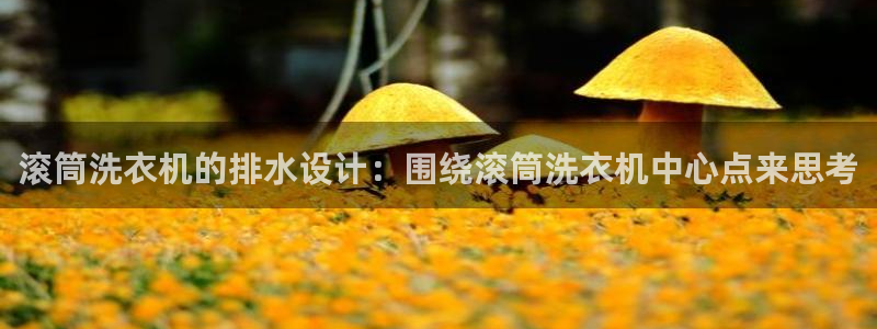 球盟会入口