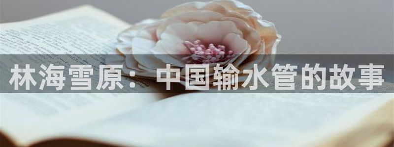 球盟会类似的网站
