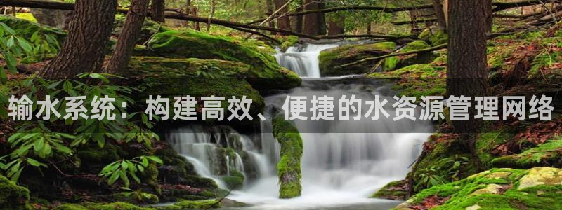 球盟会体育平台