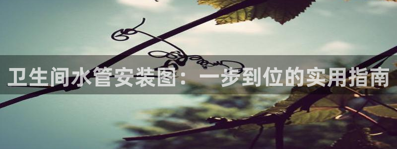 球盟会里面有打牌的嘛知乎