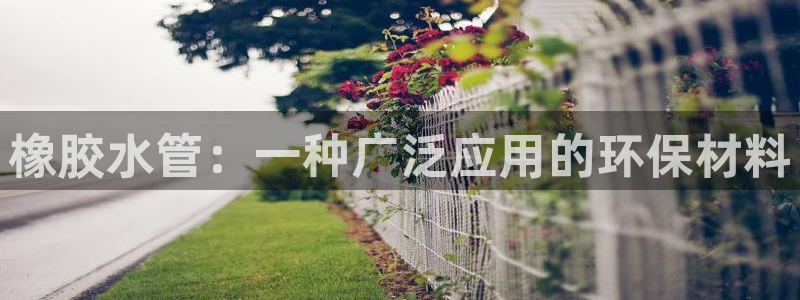 球盟会综合体育平台怎么样
