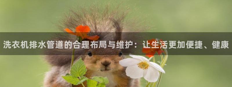 球盟会黑款吗知乎