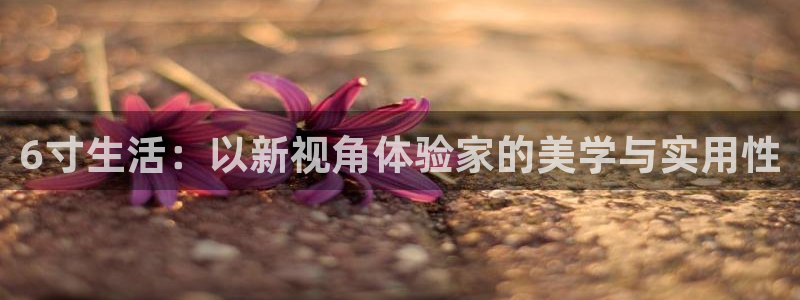 球盟会进不去吗