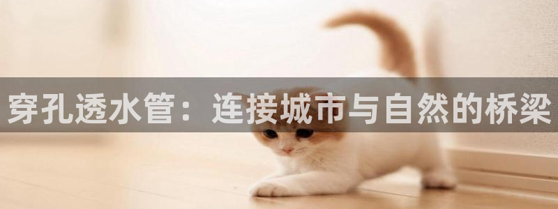 球盟会和中欧合作吗