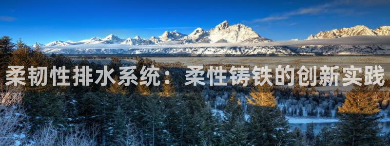 球盟会进不去吗