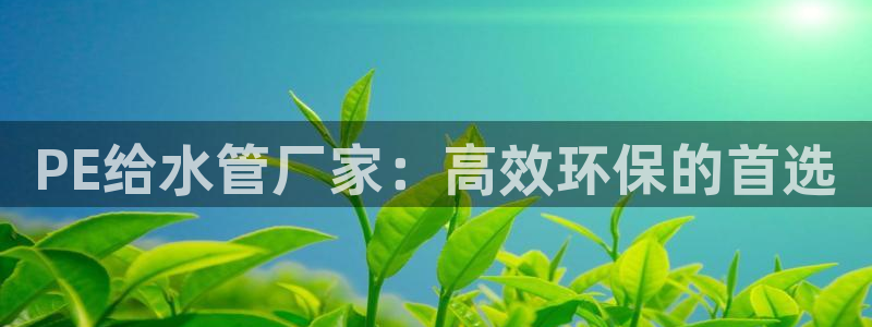 球盟会论坛