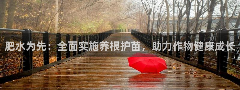 球盟会黑款吗知乎小说