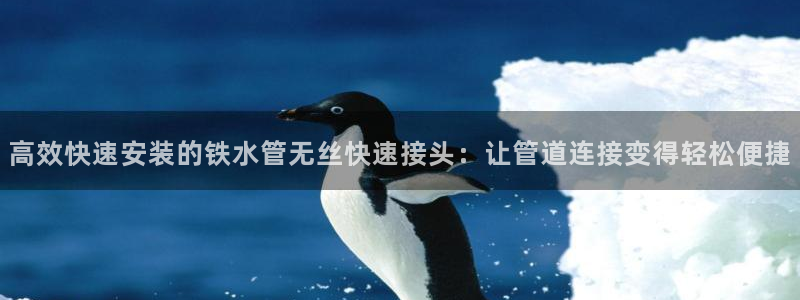 球盟会APP最新地址