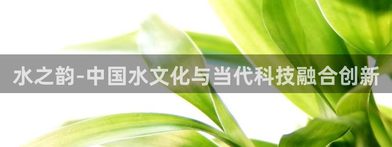 球盟会进不去吗