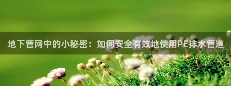 球盟会app最新地址在哪