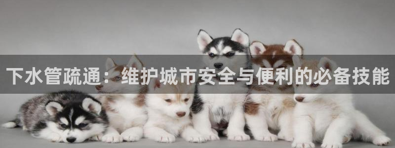 球盟会app网址多少