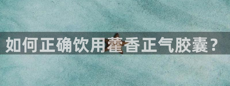 球盟会官方网站是什么