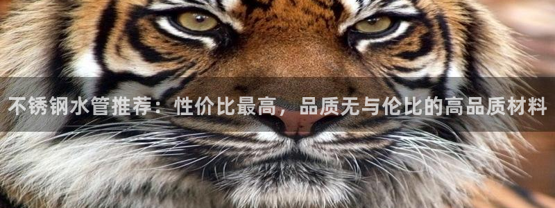 球盟会可以提现么是真的吗