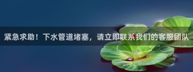 球盟会网址