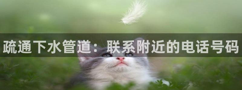 球盟会官网登录入口