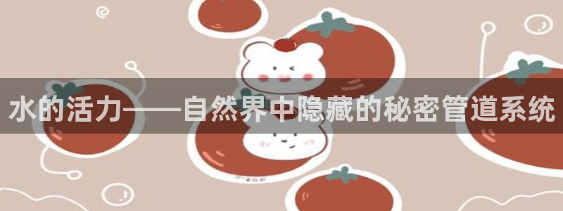 球盟会连接