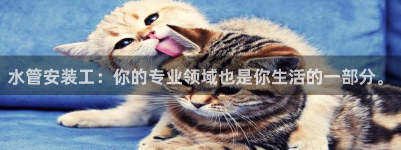 球盟会能退钱吗现在