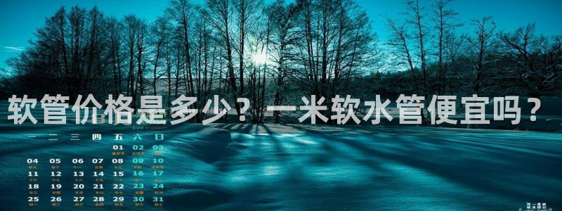 球盟会网页登录app下载地址